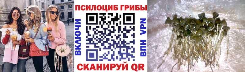 Галлюциногенные грибы Magic Shrooms  Морозовск 